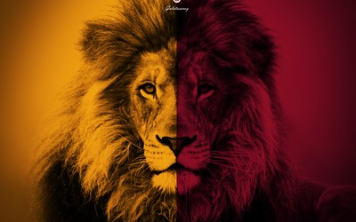 金博电竞播报-巴西女篮奥运摘银加时惜败美国队